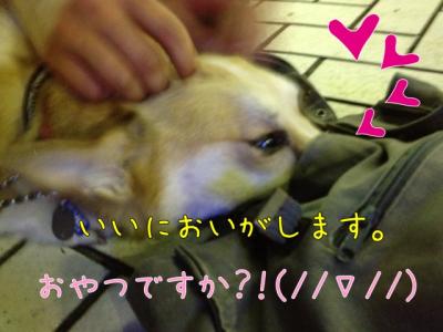 いいにおいがします。おやつですか?