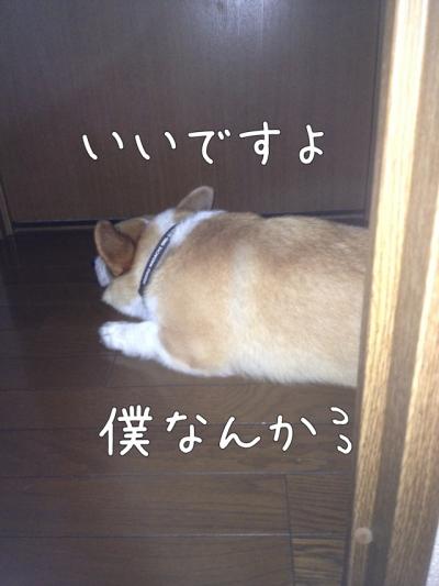 いいですよ、僕なんか