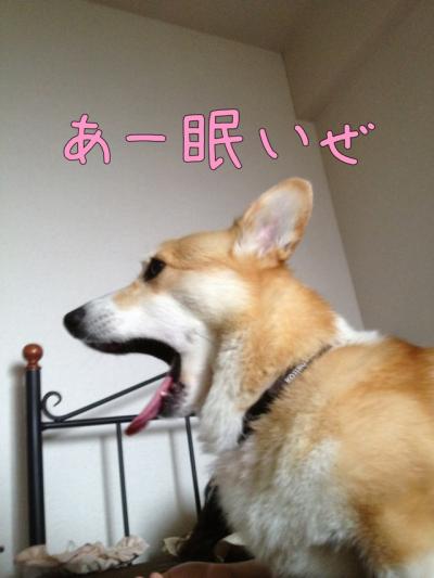 あ〜眠いぜ