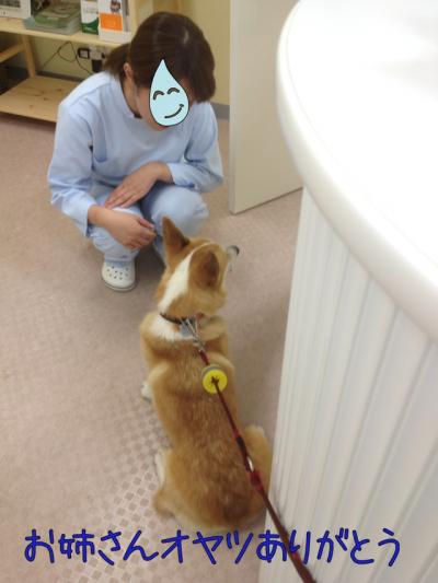 お姉さんおやつありがとう