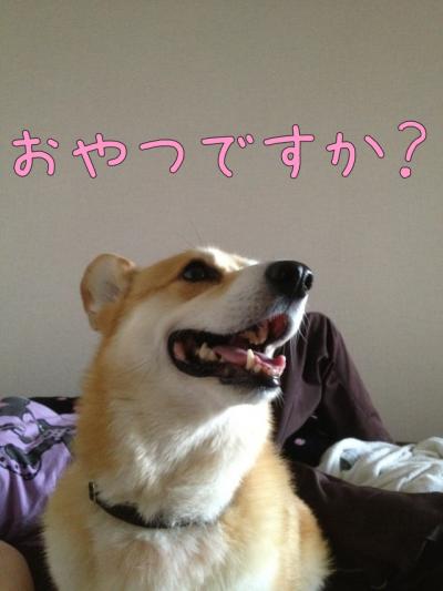 おやつですか?