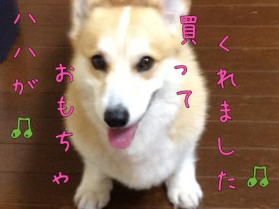 おもちゃ買ってくれました