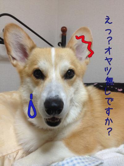 え?おやつなしですか?