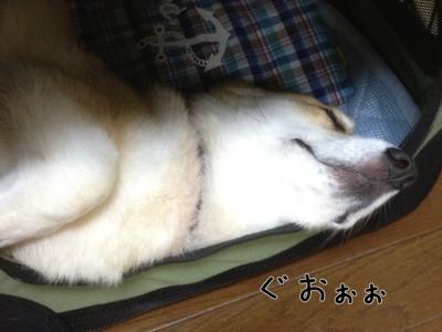 ぐおお黒