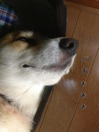 ぐおおアップ