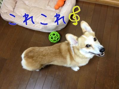 これこれ
