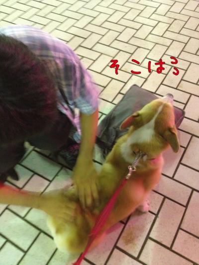 そこは