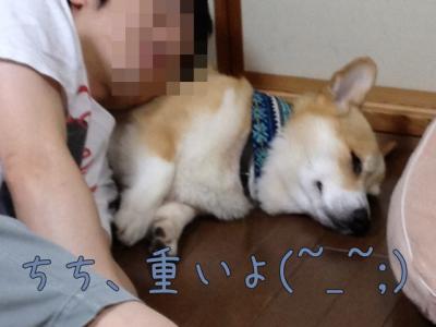 チチ、重いよ