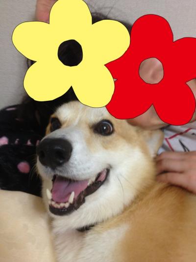 たのしい
