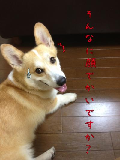 そんなに顔でかいですか?