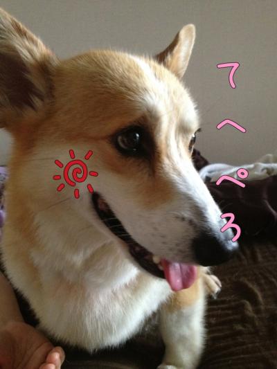 てへぺろ