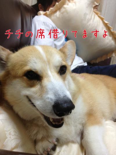 チチの席借りてますよ