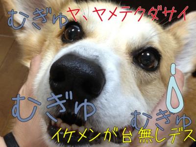 や、やめてください
