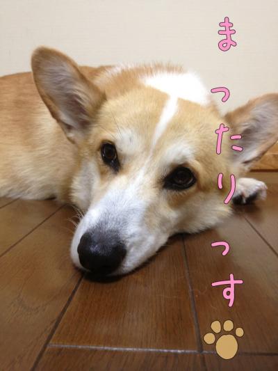 まったりっす