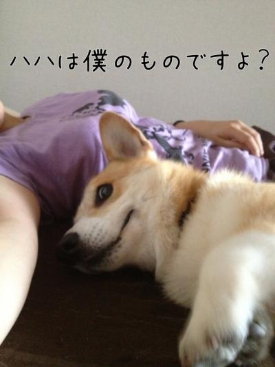 ハハは僕のものですよ