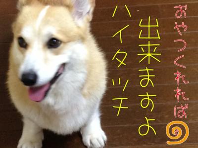 ハイタッチできますよ