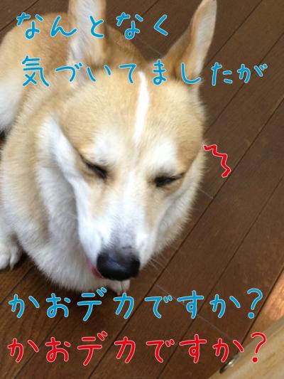 なんとなく気づいてましたが顔デカですか?