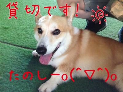 貸切です!