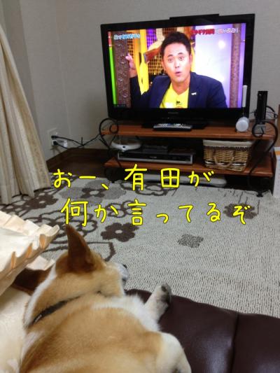 有田がなんかいってる