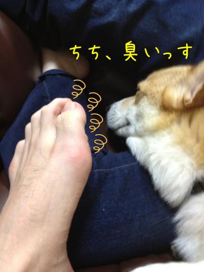 チチ臭いです