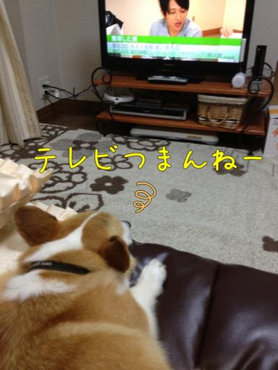 テレビつまんない