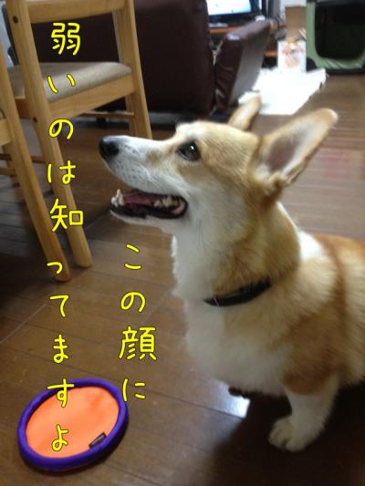この顔に弱いの知ってますよ