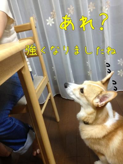 強くなりましたね