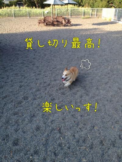 貸切最高