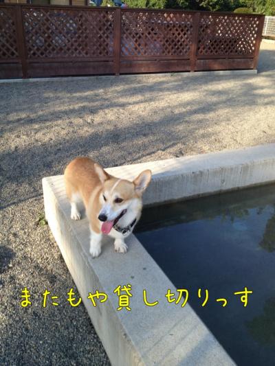 貸切