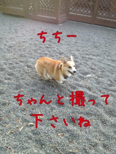 ちゃんと撮って