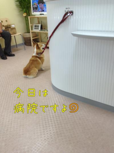 病院
