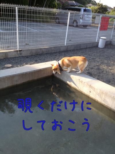 覗くだけ