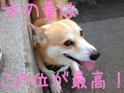 水はこの位が最高!