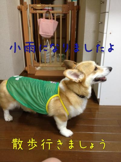 小雨になりました
