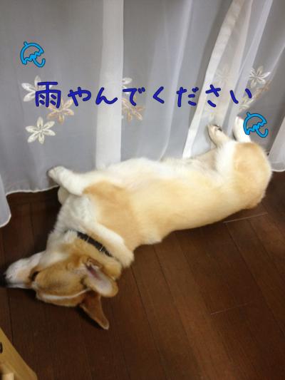 雨やんで