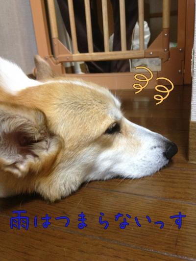 雨はつまらない