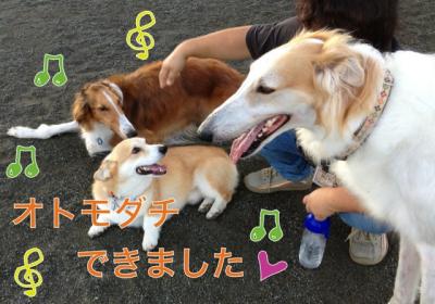 おともだちできました