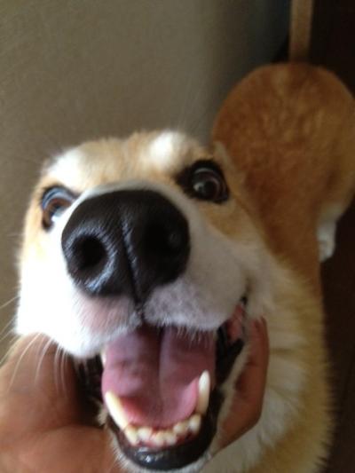 ただいま