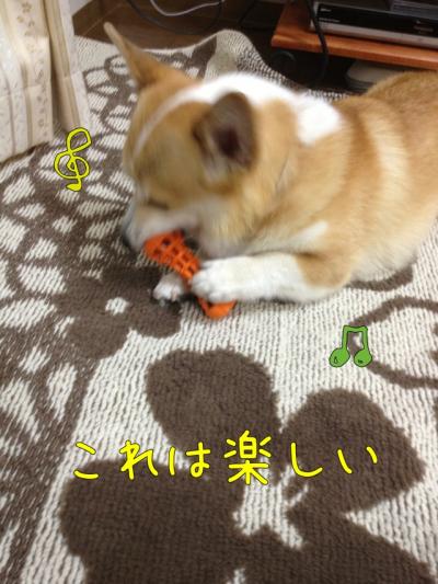 これは楽しい