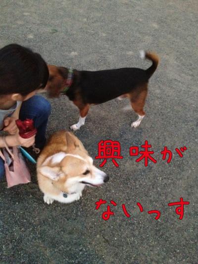 興味がない