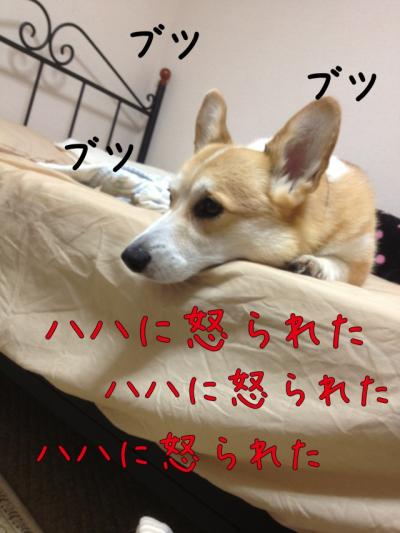 ははに怒られた