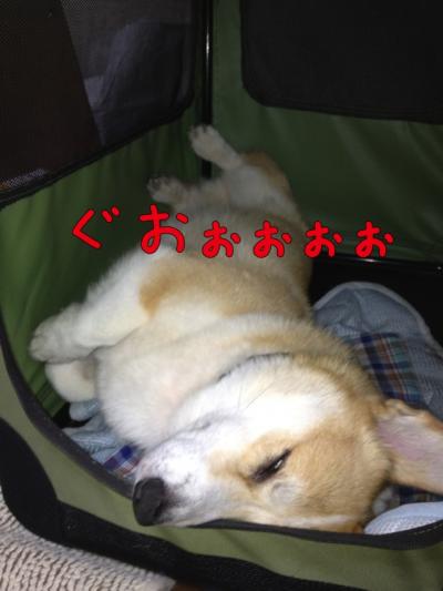 爆睡2