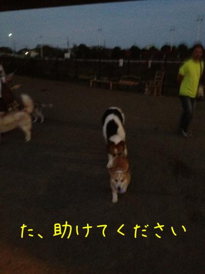 助けて