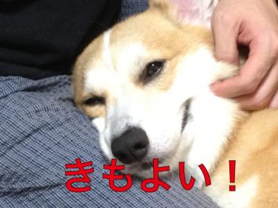 きもよい