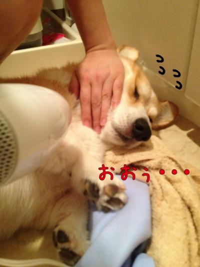 おおぅ