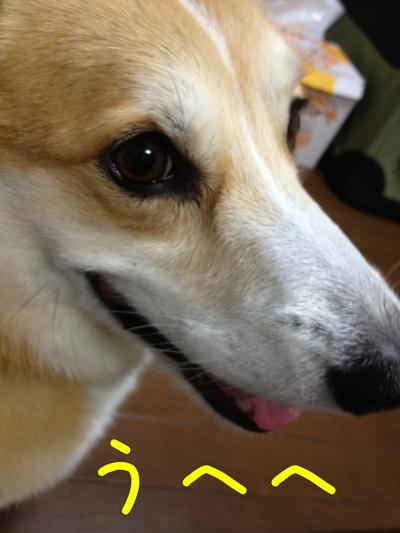 うへへ