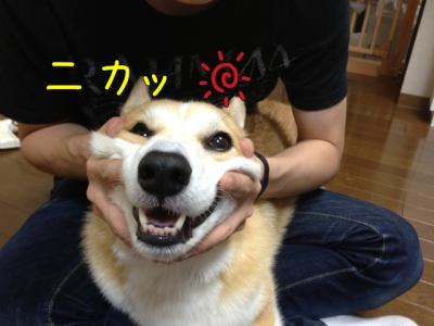 にかっ