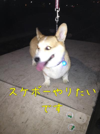 スケボー