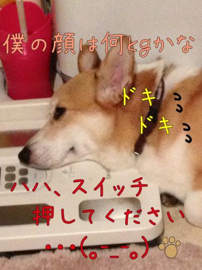 体重計