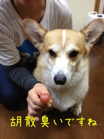 胡散臭い